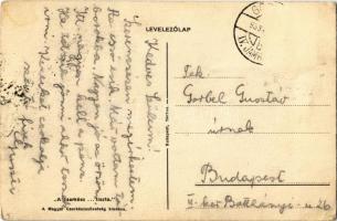 A cserkész tiszta. A Magyar Cserkészszövetség kiadása / Hungarian boy scout art postcard with pig s:...