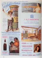 Alexander Sixtus von Reden: Az Osztrák-Magyar Monarchia. Történelmi dokumentumok a századfordulótól ...