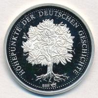 Németország 1991. "Otto von Bismarck" jelzett Ag emlékérem (8,57g/0.999/30mm) T:PP
German...