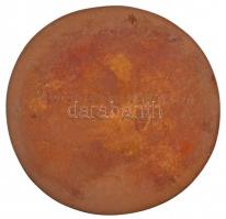 1981. "Budapest Sportcsarnok 1978-1981" Br emlékplakett, sérült műanyag tokban. Szign.:BH(...