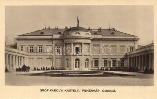 Fehérvárcsurgó, Gróf Károlyi kastély. photo