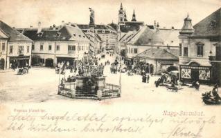 1905 Nagyszombat, Tyrnau, Trnava; Ferenc József tér, Szentháromság szobor, Josef Halle, Taushy J. és fiai üzlete / square, Trinity statuem shops (EK)