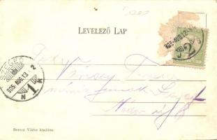 1905 Győr, Vásártér. Kiadja Berecz Viktor (EK)