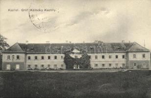 Csicsó, Cicov; Gróf Kálnoky (Zichy) kastély / Schloss / Kastiel / castle (EK)