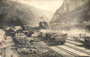 Gelence, Ghelinta; fűrésztelep, iparvasút / sawmill, industrial railway. photo (EM)