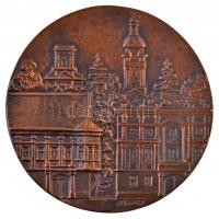 Renner Kálmán (1927-1994) DN "Győr" Br emlékplakett (93mm) T:1-,2