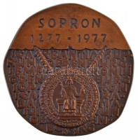 Renner Kálmán (1927-1994) 1977. "Sopron 1277-1977" Br plakett (95mm) T:1-,2