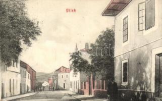 Bilek, street view / Strasse