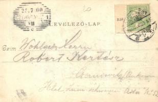 1900 Budapest XII. Kilátás a Szent János kórház felé. Divald Károly 155. sz. (fa)