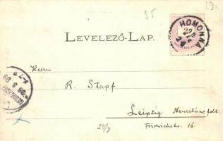 1898 Ungvár, Uzshorod, Uzhorod; látkép, híd, templomok . Divald fénynyomat / general view, bridge, c...