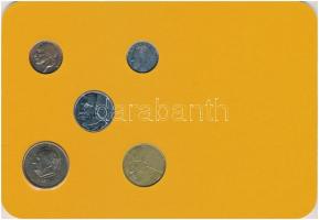 Belgium 1986-1998. 50c-50FrM (5xklf) forgalmi sor karton dísztokban T:2
Belgium 1986-1998. 50 Centi...