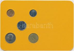 Belgium 1986-1998. 50c-50Fr (5xklf) forgalmi sor karton dísztokban T:2
Belgium 1986-1998. 50 Centim...