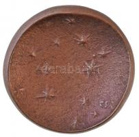 1981. "Karácsony 1981" Br emlékérem (35,5mm) T:2