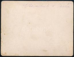 cca 1900 Vízimalmok a Dunán, keményhátú fotó, hátoldalon feliratozva, foltos, 10×13 cm / watermills