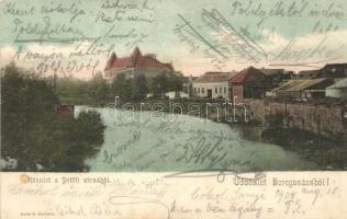 1905 Beregszász, Berehove; Petőfi utca. Kiadja Auer K. / street view (EK)