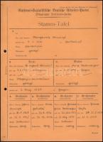 cca 1940 Az NSDAP tagjának leszármazási tábláját tartalmazó karton / Family file of nazi party member
