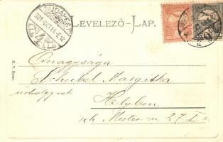 1901 Budapest XI. Gellérthegy, uszályok (fl)