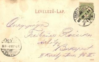 1905 Budapest XI. Kilátás a Gellérthegyi kioszkról. Kiadja Auer J. (fl)