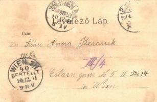 1901 Budapest I. Látkép a királyi vártól, Lánchíd, gőzhajók, Bazilika. Gustav Ertel, Art Nouveau, li...