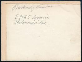 1910 Kolozsvár, EMKE drogéria belseje, hátoldalon feliratozott fotó, felületén törésnyomokkal, ujjle...