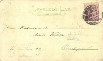 1898 Budapest, M. kir. Operaház, Igazságügyi palota. F. Schmuck 92. Art Nouveau, floral, litho (vágo...