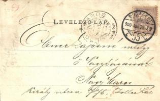 1900 Budapest XI. Kelenföld, Mattoni-féle Erzsébet Sósfürdő, villamos, villa. Posner litho (r)