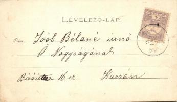 1900 Gergelylaka, Gregorovce; Nemesi kúria a családdal / villa with family. photo