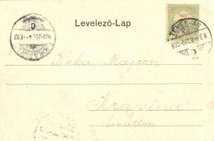 1903 Temesvár, Timisoara; Gyárváros, Liget út, villamos. Kiadja Polatsek / Parkstrasse / Fabrica, st...