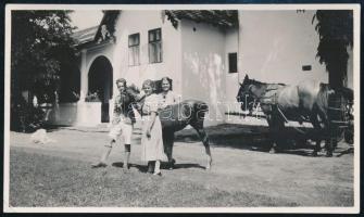 1936 Nádudvari csikó, hátoldalon feliratozott fotó, 6×10,5 cm