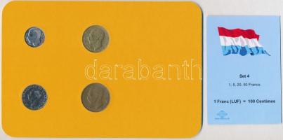 Luxemburg 1982-1991. 1Fr-5Fr (4xklf) forgalmi sor karton dísztokban T:1-,2
Luxembourg 1982-1991. 1 ...