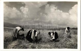 30 db főleg régi magyar és történelmi magyar városképes lap / 30 mainly pre-1945 Hungarian and Histo...
