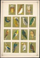 cca 1950 127 db japán gyufacímke, közte erotikusak is, 8 db kartonlapra ragasztva