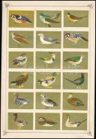 cca 1950 127 db japán gyufacímke, közte erotikusak is, 8 db kartonlapra ragasztva