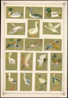 cca 1950 127 db japán gyufacímke, közte erotikusak is, 8 db kartonlapra ragasztva