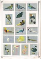 cca 1950 127 db japán gyufacímke, közte erotikusak is, 8 db kartonlapra ragasztva