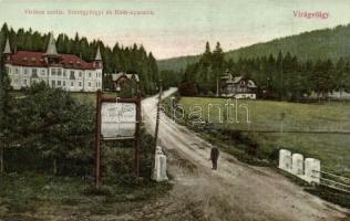 Tátra, Tatry; Virágvölgy Poprád mellett, Viribus Unitis, Szentgyörgyi és Ráth nyaralók. Divald Károly 2147-1909. / Blumenthal, villas