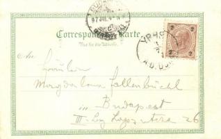 1897 (Vorläufer!) Ybbs an der Donau, Ibbs; Kaiser Josef Denkmal / statue. Regel &Krug No. 608. f...