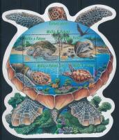Turtle block, Teknős blokk