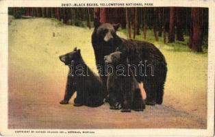 20 db főleg modern amerikai városképes lap / 20 mainly modern American town-view postcards from the ...