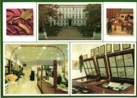 12 db modern telefon és posta motívumlap / 12 modern telephone and post office motive cards