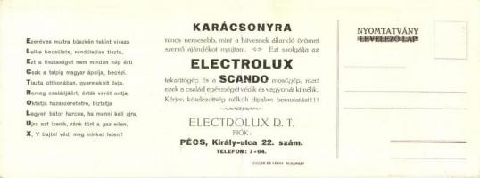 1927 Budapest V. Kossuth szobor leleplezésének emlékére. Kinyitható lap belül Electrolux pécsi reklá...