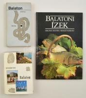 3 db Balaton témájú könyv. Balatoni ízek. Panoráma útikönyv. Corvina útikönyv.