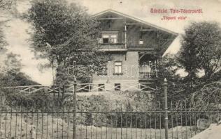 1913 Tata, Tata-Tóváros; Tóparti villa (EK)