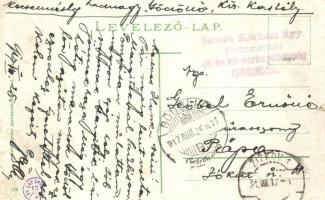 Arad, Felső kereskedelmi iskola, park / commercial schook, park + Tábori kórházi ügy. portómentes cs...