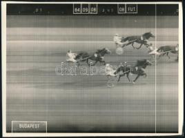 1984, 1986 Pesti Turf 2 db száma + 4 db fotó Jágó nevezetű lóról, 12×9 és 24×17 cm közötti méretekbe...