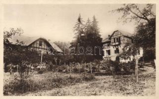 Nagybánya, Baia Mare; Wágner szanatórium / sanatorium 1940 Nagybánya visszatért So. Stpl