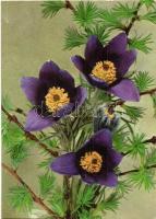 40 db MODERN virágos üdvözlőlap / 40 modern flower greeting motive postcards