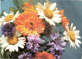 40 db MODERN virágos üdvözlőlap / 40 modern flower greeting motive postcards