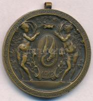 1912. "Budapest Székesfővárosi Közlekedési Részvénytársaság Sportegyesülete a Sport Terén Elért...