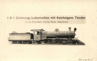 Henschel & Sohn 1-D-1-Güterzug-Lokomotive mit 4achsigem Tender für die Eisenbahn Centrale Norte, Argentinien / Henschel & Son Argentine locomotive. photo (EK)